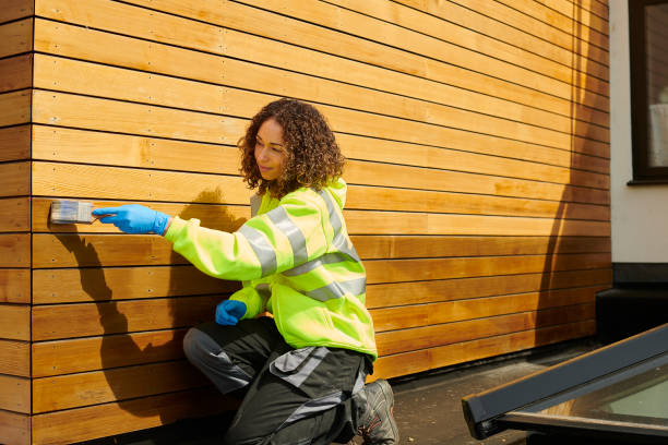 Best Insulated Siding Installation  in Madrid, IA