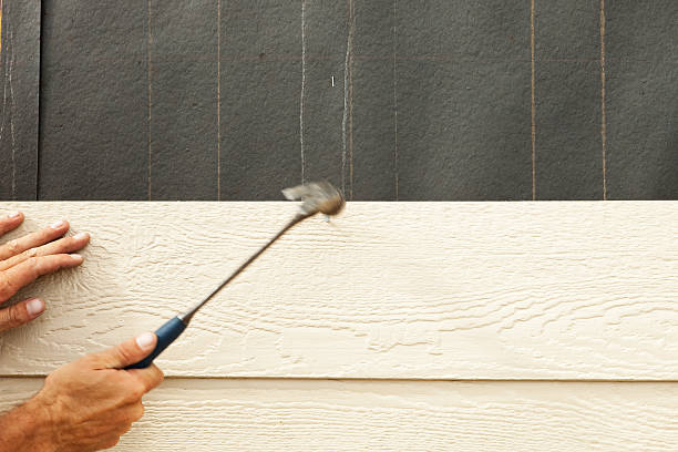 Best Stucco Siding  in Madrid, IA